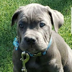 Meet your Posher, Jaime